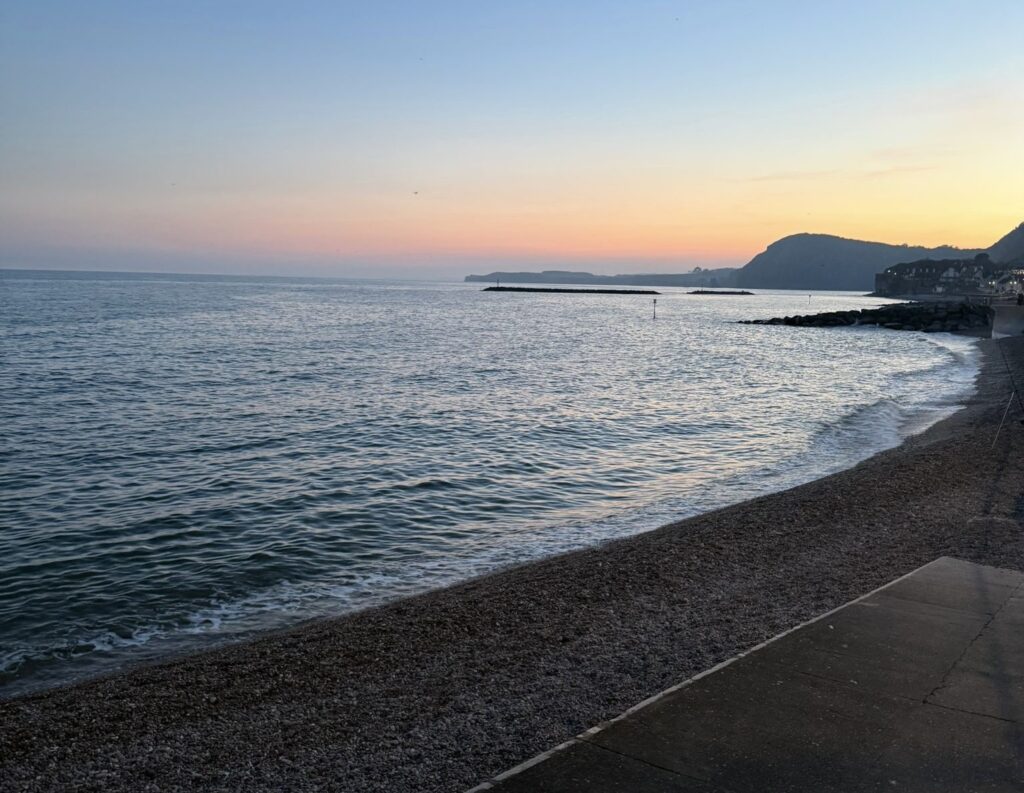 305b53a1 1f55 408b 8fe0 7889afff1c63